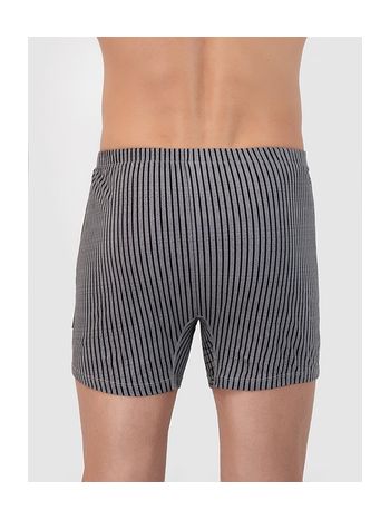 Фото 4 Трусы Torro из коллекции Classic, цвет: серый/черный, вид сзади