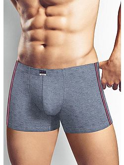 Трусы Clever MSH493813/1